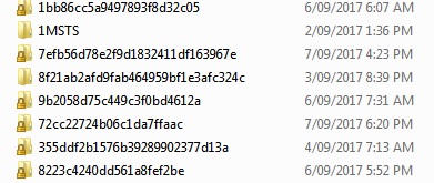 Unknown folders appear on C: Drive-folders_on_c_drive.jpg