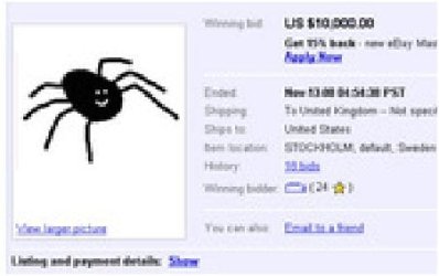 spider.JPG