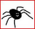 spider.JPG