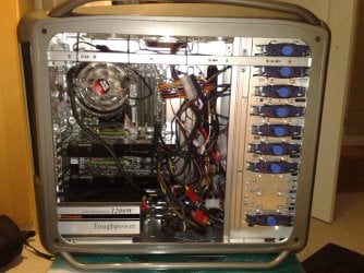 1100 Cosmos .jpg