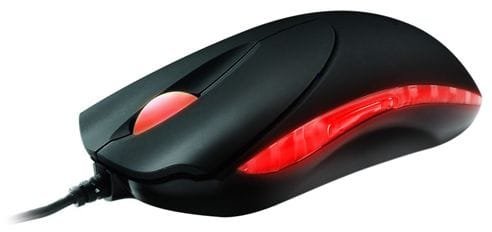 Mouse.JPG