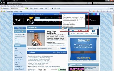 IE7 add on.jpg