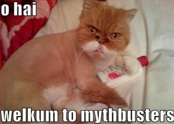funny-pictures-mythbuster-cat.jpg