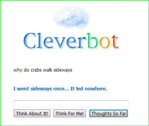 cleverbot.PNG cleverbot.PNG