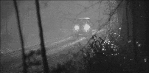 366.gif