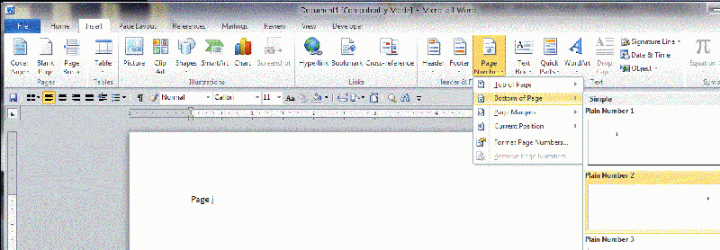 PageNumbering-a.GIF