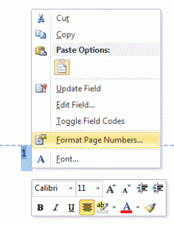 PageNumbering-b.GIF