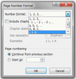 PageNumbering-c.GIF