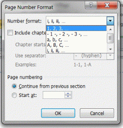 PageNumbering-h.GIF