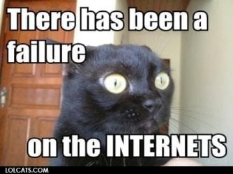 cat 2.jpg