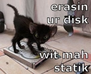 cat 3.jpg