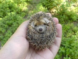 image003.jpg