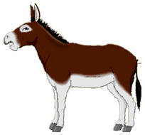 donkey.gif