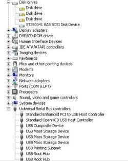 Device manager yellow indicators Capture.JPG