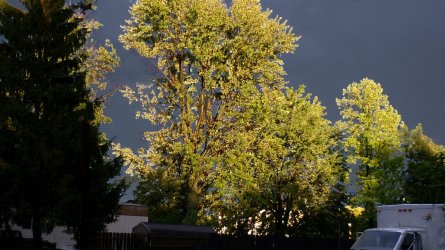 Tue 8-16-11 storm.JPG
