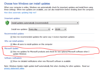 optional updates.PNG