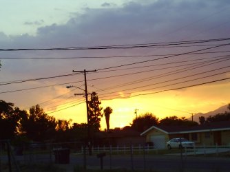 PICT0261.jpg