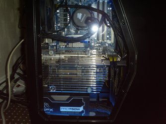 S4030584.jpg