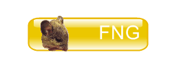 FNG.png