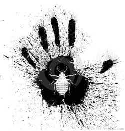 squashed-bed-bug-thumb18401938.jpg
