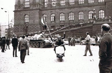 P3.jpg