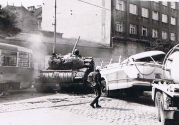 P5.jpg