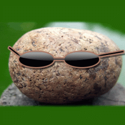 animated-pet-rock.gif animated-pet-rock.gif