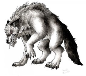 Wolves-wolves-8914549-576-508.jpg