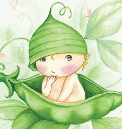 Sweet-Pea-Baby.jpg