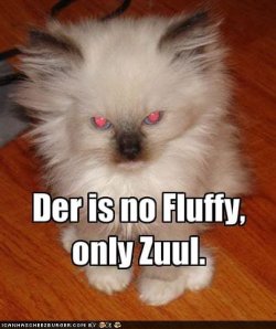 funny-pictures-there-is-no-fluffy.jpg