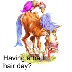 badhairday.png