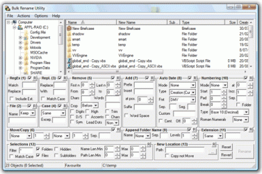 Bulk rename utility.gif