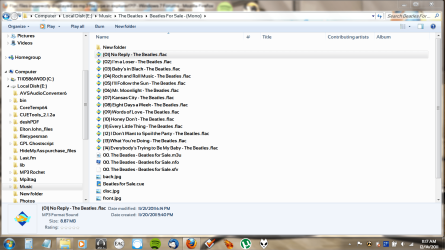 Flac#1.PNG