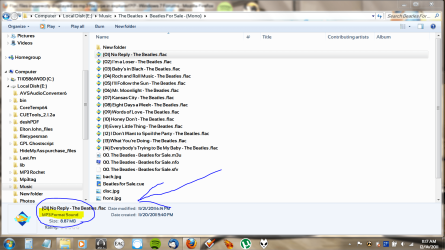 Flac#2.PNG