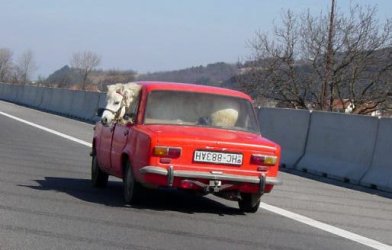 ATT000141514.jpg