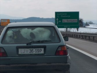ATT000151615.jpg