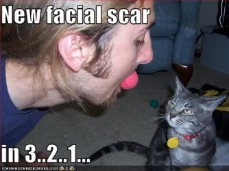 scar.jpg