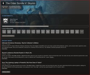 Skyrim game stats.JPG