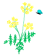 Bee and Flower.gif