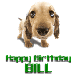 Bill.gif