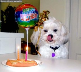birthday_funny_picture_02.jpg