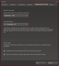 Steam Settings.JPG Steam Settings.JPG