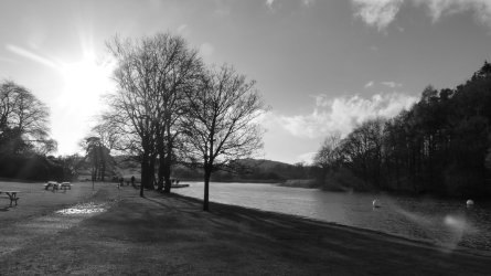 scenic_blacknwhite.jpg
