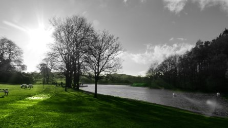 scenic_green.jpg