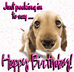 BirthdayDog2.gif