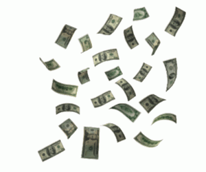 money.gif money.gif