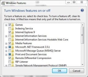 IE9.JPG