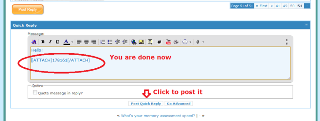 10.png