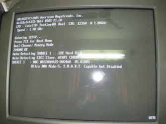 Picture 196.jpg