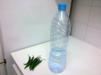 peppers equals lots of water.jpg